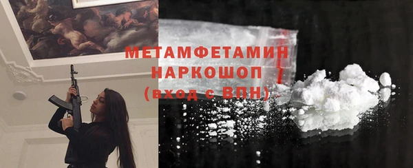 прущие грибы Магадан