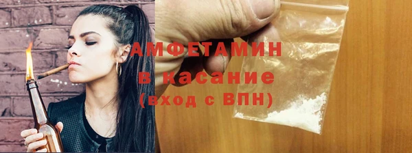 прущие грибы Магадан