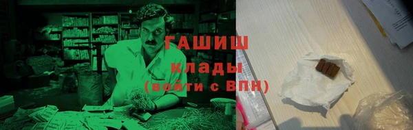 прущие грибы Магадан