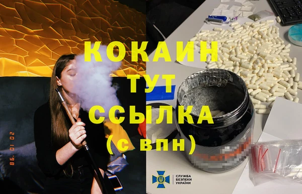сатива Аша