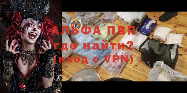 прущие грибы Магадан