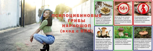 дмт Майский