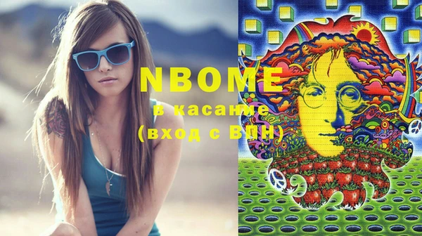 прущие грибы Магадан