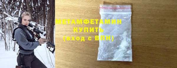 прущие грибы Магадан